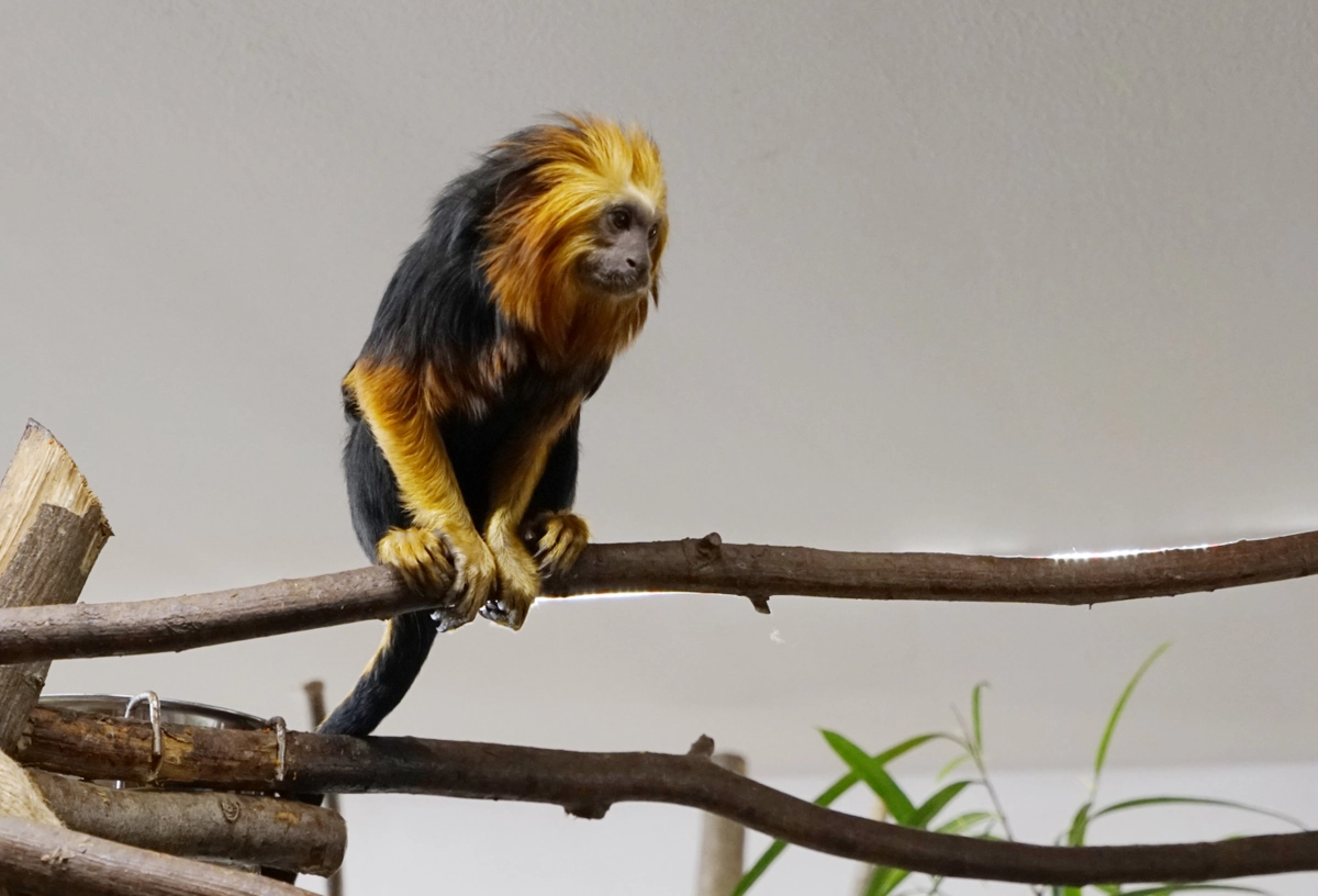 Tierpark Gera